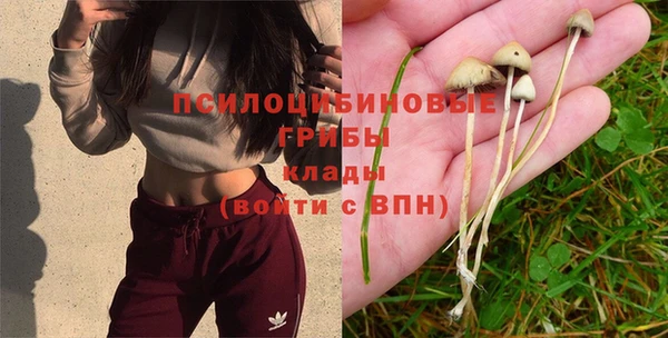 скорость Баксан