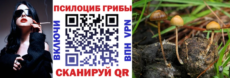 мега ТОР  нарко площадка официальный сайт  Псилоцибиновые грибы Magic Shrooms  Сосновоборск 