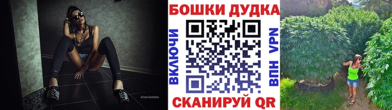 где найти   MEGA ССЫЛКА  Конопля SATIVA & INDICA  Сосновоборск 